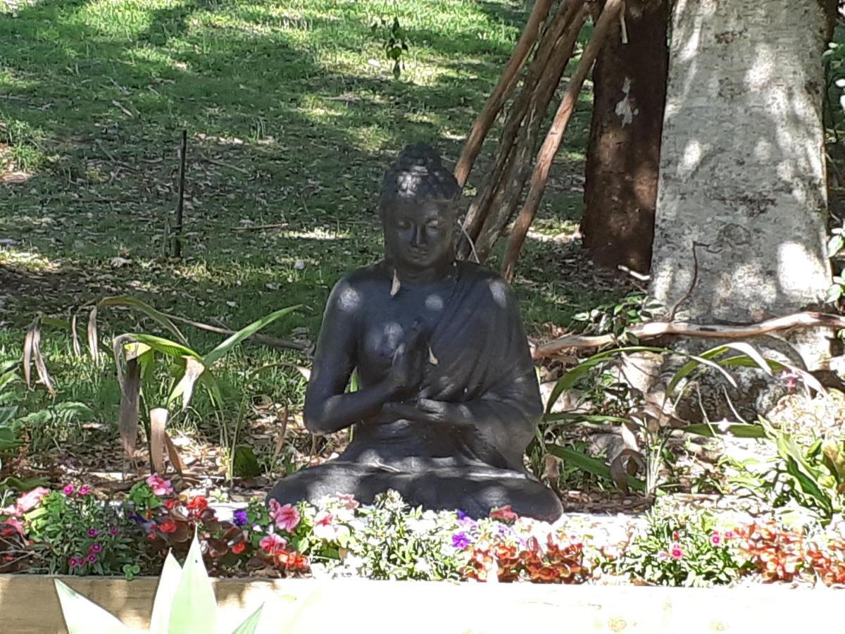 Mapleton Peaceful Provence Bnb Eksteriør bilde